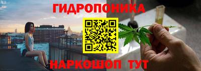 амф Ефремов
