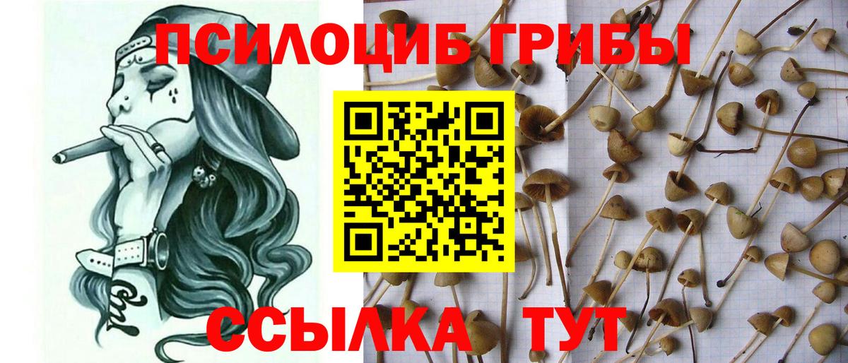Галлюциногенные грибы прущие грибы Корсаков