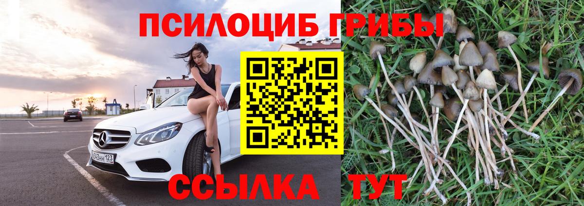 Галлюциногенные грибы ЛСД  сколько стоит  Корсаков  Вход с VPN 
