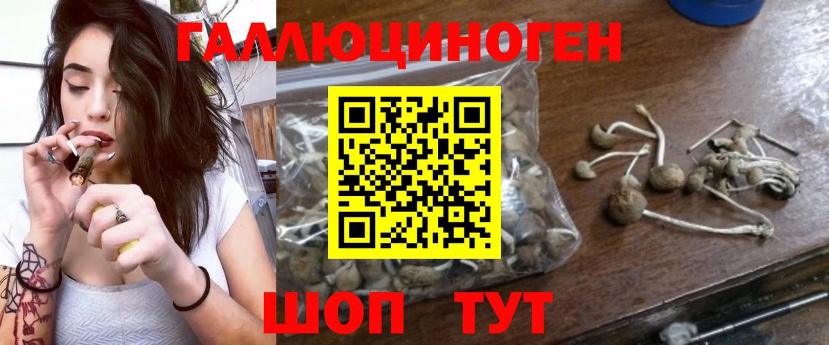 Корсаков  Гашиш  MDMA  Вход с VPN  Меф   ГАШИШ  Метамфетамин  LSD-25  Каннабис  ЭКСТАЗИ  Кокаин 